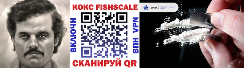 COCAIN FishScale  Менделеевск 