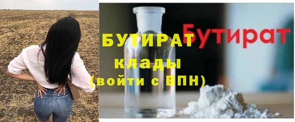 шишки Сатка