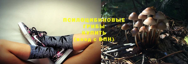 стаф Сафоново