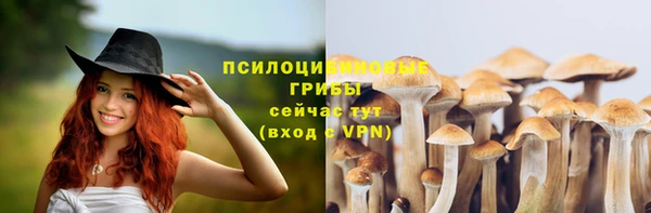 гидропоника Алзамай