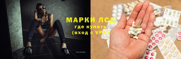 гидропоника Алзамай