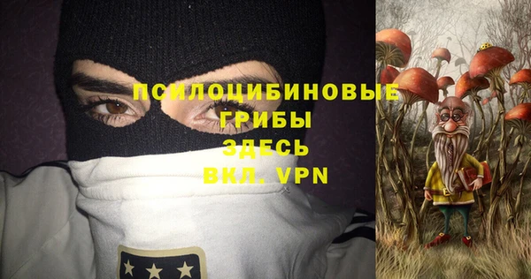 СК Алексеевка