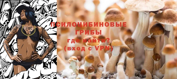 стаф Сафоново