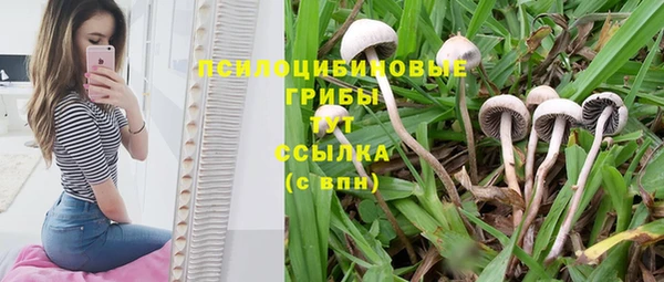 гидропоника Алзамай