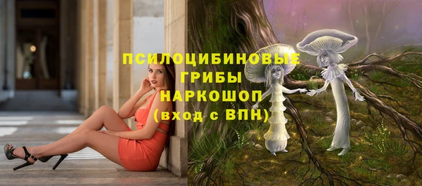СК Алексеевка