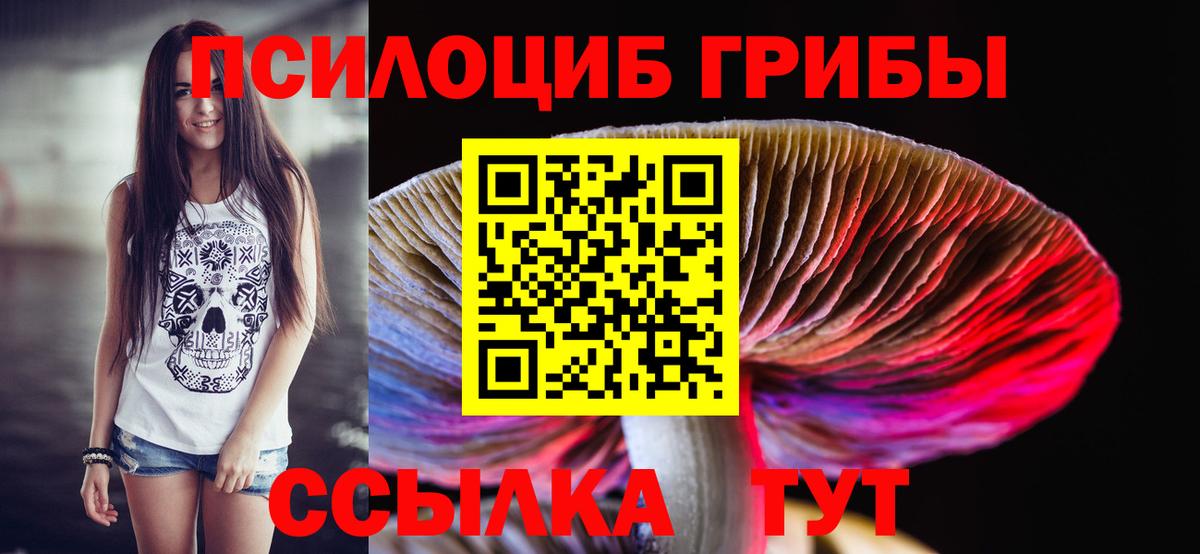 Галлюциногенные грибы мицелий  Вход с VPN  Менделеевск  Псилоцибиновые грибы Magic Shrooms 